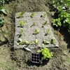 A garden bed with young plants growing through a weed mat, with a seedling tray and scissors nearby. Produktbild-Vorschau