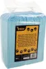 Hygieneeinlage 60x60cm 50 Stk. Purlov 21600 Produktbild-Vorschau 22