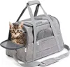 A kitten peeking out of a gray pet carrier bag. Náhled obrázku produktu