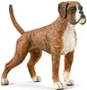 Boxer COLLECTA Anteprima dell’immagine prodotto 1