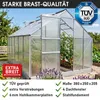 BRAST Gewächshaus Aluminium mit Fundament | 380x250x205cm | Produktbild-Vorschau 8