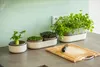 Sprossenschale & Pflanzschale ReGrow | Keimschalen von Produktbild-Vorschau 30