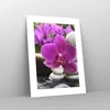 Poster - Poster ohne Rahmen - Orchidee Bambus Dekoration Produktbild-Vorschau 7