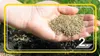 Arpon Sportrasen 1 Kg Anteprima dell’immagine prodotto 10