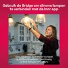 Innr Bridge voor slimme lampen - smart hub - Werkt met Productafbeelding-voorbeeld 6