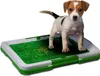 Tappetino da toilette per cani Tappetino da addestramento Anteprima dell’immagine prodotto 10