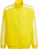 Adidas Squadra 21 Präsentationsjacke Kinder - Gelb / Weiß  Produktbild-Vorschau 1