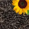 Lyra Pet® 25 kg Sonnenblumenkerne schwarz HK Deutschland Produktbild-Vorschau 9