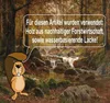 Etagenbett Kinderbett  Spielbett Massiv Weiss Hochbett Produktbild-Vorschau 4