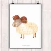 Mr. & Mrs. Panda Bild Sternzeichen Widder DIN A5 - Weiß - Produktbild-Vorschau 2