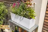 LECHUZA-Pflanzgefäß BALCONERA Stone 80 Steingrau | Produktbild-Vorschau 12