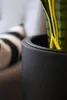 VIVANNO Vase de sol en fibre de verre SOLERIO Rond, noir Voir les images du produit 5