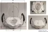 Sedile per WC RIDDER con maniglione di sicurezza Bianco 150 Anteprima dell’immagine prodotto 18