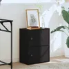 A black wooden cabinet with two doors, decorated with a framed picture and books on top, placed next to a large plant. Náhled obrázku produktu