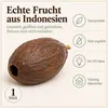 Kakaoschote getrocknet 10-15 cm echte Kakaofrucht ohne Produktbild-Vorschau 6