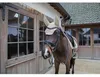Kentucky Horsewear Fliegenhaube Wellington Softshell Produktbild-Vorschau 5