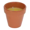 6x Citronella Kerzen im Terrakotta Topf 7 x 7 cm Brenndauer Produktbild-Vorschau 2