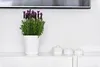 KADAX Blumentopf mit Untersetzer "Greve", Blumenkübel, Produktbild-Vorschau 6