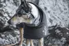 Hurtta Extrem Warmer, Hund, Jacke, Grau, Winter, 500 mm, 54 Produktbild-Vorschau 15