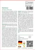 SAFLAX - Eisenkraut - Verbena officinalis - 250 Samen Produktbild-Vorschau 3