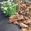 Tuinbedden Onkruiddoek 150 g/m² - 1.6 m x 10 m met 10 Productafbeelding-voorbeeld 5