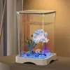 Aquarium Starterset - Mini Schreibtisch-Aquarium rechteckig Produktbild-Vorschau 8