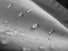Close-up of water droplets on a textured fabric surface. Podgląd zdjęcia produktu