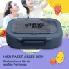 Schmatzfatz Lunchbox, Unterteilte Brotdose für Erwachsene & Produktbild-Vorschau 2