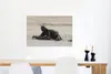 MuchoWow® Poster Faultier am Strand im Manu-Nationalpark, Produktbild-Vorschau 5
