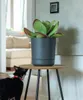 KADAX Blumentopf mit Untersetzer "Kama", Blumenkübel, Produktbild-Vorschau 15