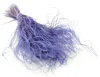Federgras Getrocknete - (Stipa pennata) - Lavendel Produktbild-Vorschau 1
