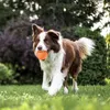 Interaktywna zabawka dla psów, Jolly Ball piłka dla psów šC Podgląd zdjęcia produktu 12