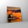 Bilder auf glas - Löwe Sonne Landschaft - 70x70cm - Produktbild-Vorschau 4