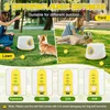 Lanceur de balles pour chiens Automatique Jouet interactif Voir les images du produit 4