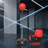 Standboxsack Erwachsene inkl. Boxhandschuhe Boxbirne Produktbild-Vorschau 1