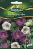 Quedlinburger Saatgut - Glockenrebe Glockenklang - Nasiona Podgląd zdjęcia produktu 1