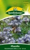Quedlinburger Saatgut - Phacelia Bienenfreund - Samen - Produktbild-Vorschau 1
