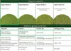 Certyfikowana Matcha Premium Ceremonial 25 G Pierwsze Podgląd zdjęcia produktu 2