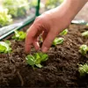 Parkside® Frühbeet Treibhaus Gewächshaus Folienfrühbeet Produktbild-Vorschau 11