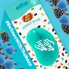 Gélový osviežovač vzduchu Jelly Belly 3D - čučoriedka Náhľad obrázku produktu 14
