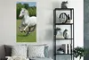 MuchoWow® Poster Pferde - Natur - Weiß 60x120 cm - Produktbild-Vorschau 4