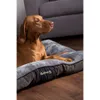 A brown dog is lying on a gray and brown dog bed on a wooden floor, with a gray sofa in the background. Anteprima dell’immagine prodotto