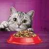 Whiskas Adult 1,4kg - Vollwertiges Trockenfutter für Produktbild-Vorschau 5
