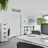 A modern office space with a filing cabinet, desk, and plants. Anteprima dell’immagine prodotto