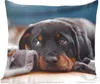MuchoWow® Zierkissen Sofakissen Wohnzimmer Dekokissen 45x45 Produktbild-Vorschau 1