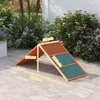 PawHut - Pont d'agilité pour chiens - Équipement d'agilité Voir les images du produit 3