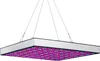 Clanmacy 15W LED Pflanzenlampe Grow Lampe Pflanzenlicht Produktbild-Vorschau 10