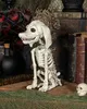 Pudel Hundeskelett als Halloween Dekoration 25 cm Produktbild-Vorschau 2