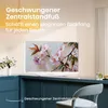 Hisense 32" S5Q, Full HD 1920x1080, QLED, 220 nitů, HDR, Náhled obrázku produktu 9