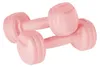 Rebel RBA-2306 Manubri fitness 2 x 1,5 kg, rosa chiaro Anteprima dell’immagine prodotto 1